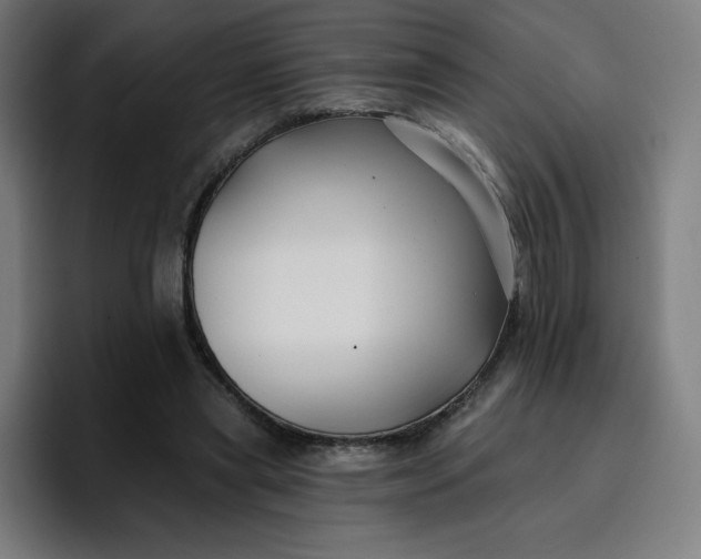 X0000096720445200802191531