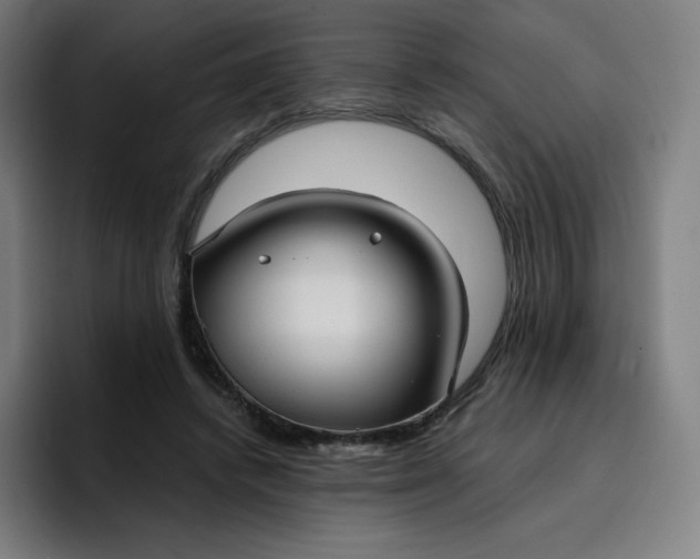 X0000096720448200802191531