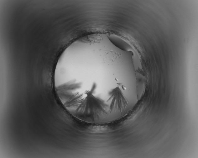 X0000096720449200802191531