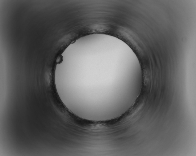 X0000096720451200802191531