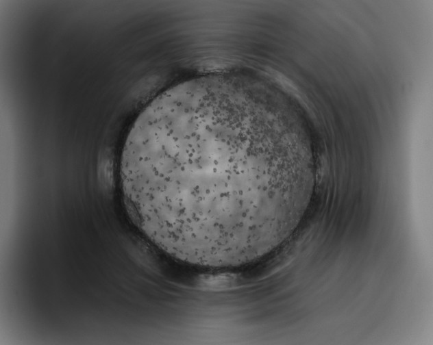 X0000096720452200802191531