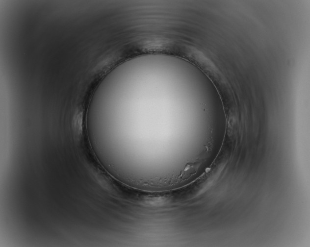 X0000096720454200802191532