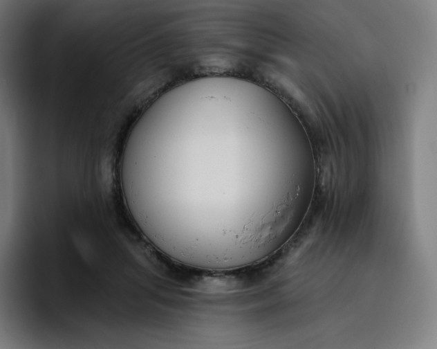 X0000096720455200802191532