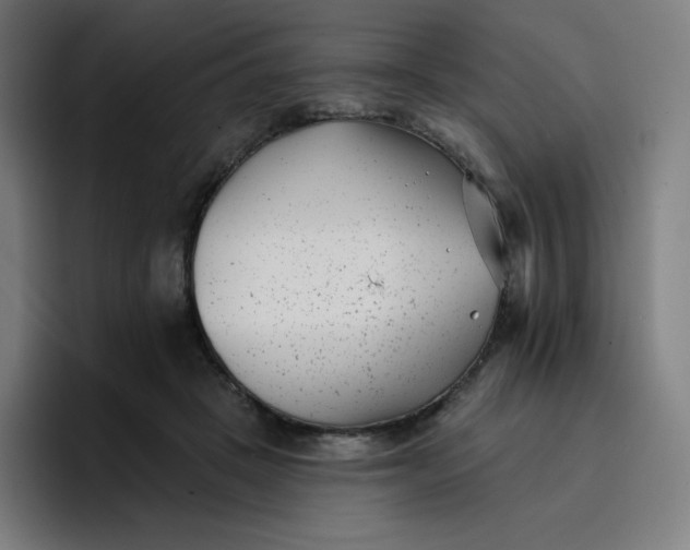 X0000096720457200802191532