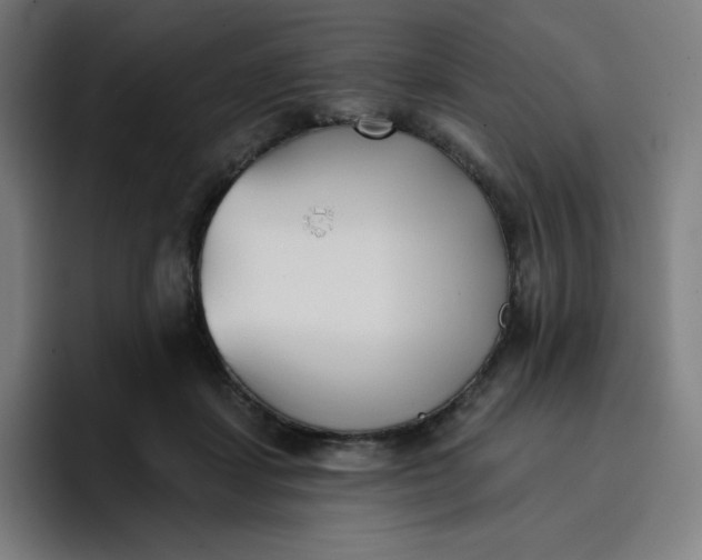 X0000096720459200802191532