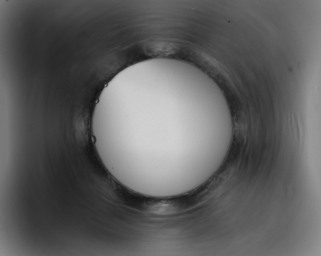 X0000096720460200802191532