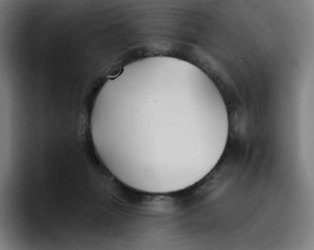 X0000096720463200802191532