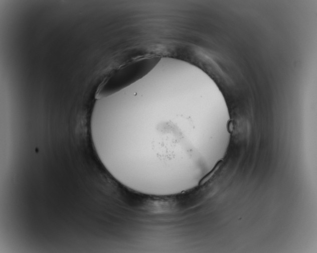 X0000096720466200802191532