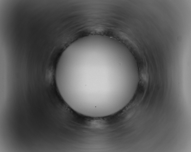 X0000096720468200802191532