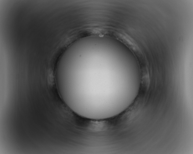 X0000096720469200802191532