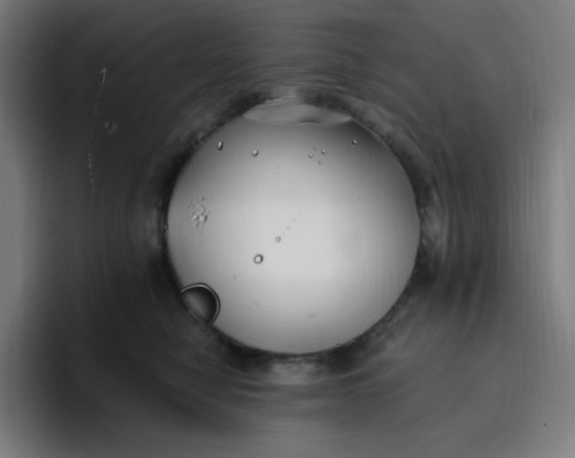 X0000096720470200802191532