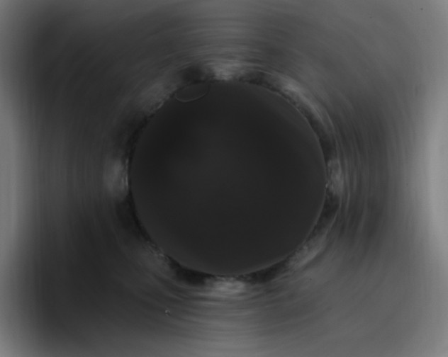 X0000096720471200802191532