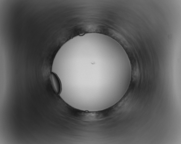 X0000096720473200802191532