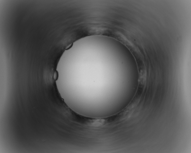 X0000096720474200802191532