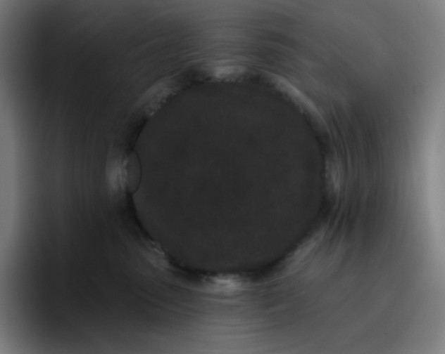 X0000096720475200802191532