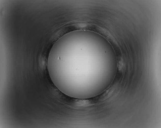 X0000096720476200802191532