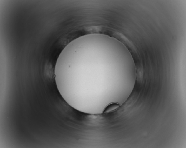 X0000096720477200802191532