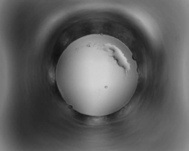 X0000096720479200802191532