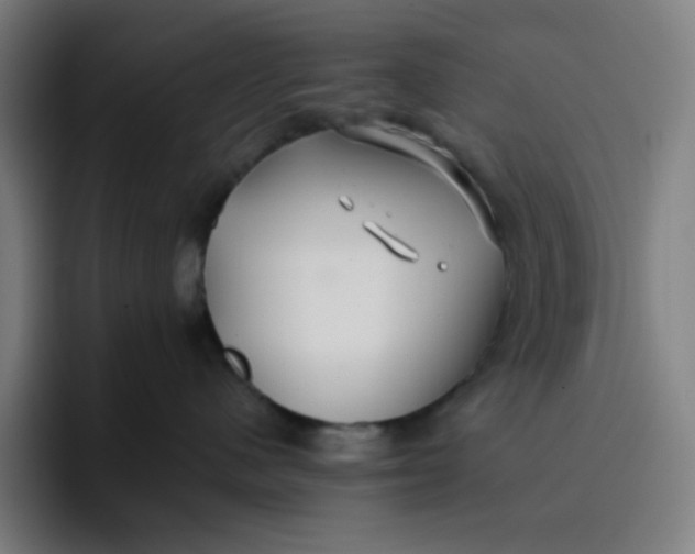 X0000096720480200802191532