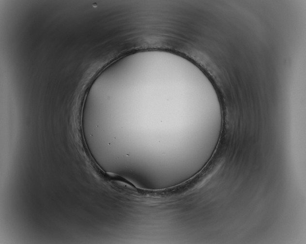 X0000096720481200802191531