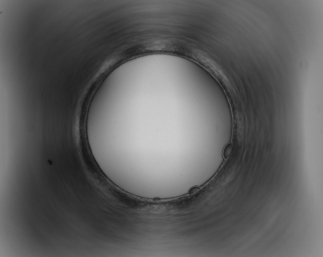 X0000096720482200802191531