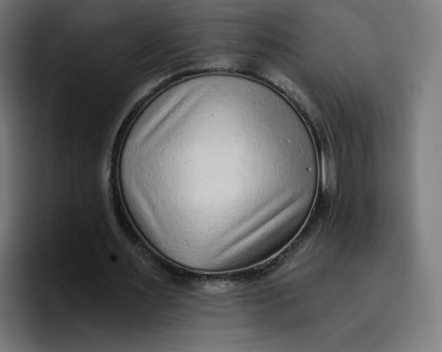 X0000096720483200802191531