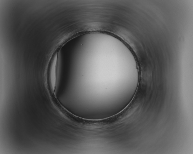 X0000096720485200802191531