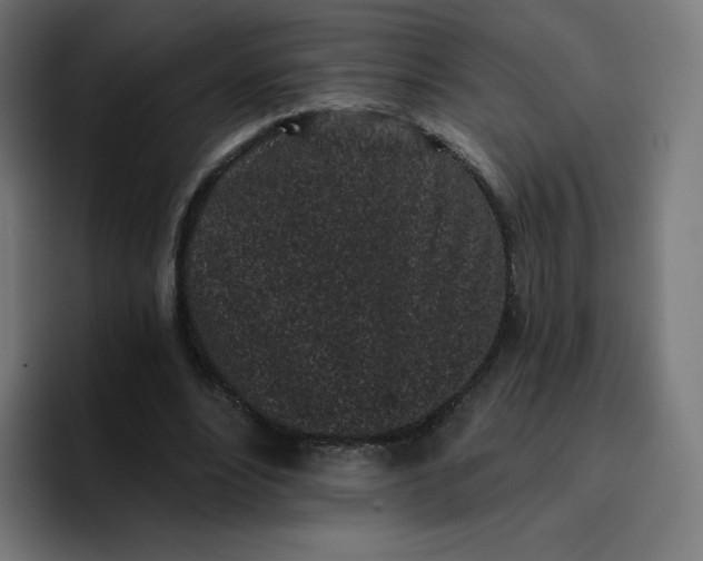 X0000096720488200802191531