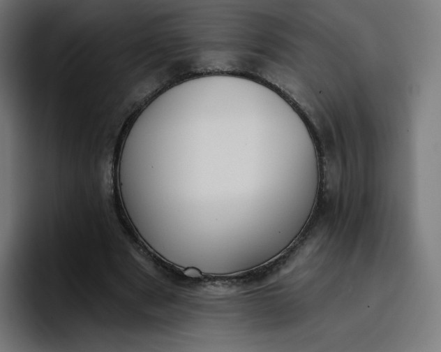 X0000096720489200802191531