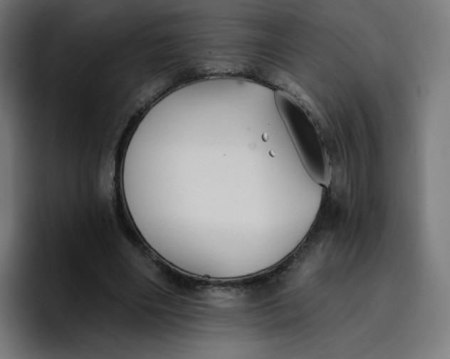 X0000096720490200802191531