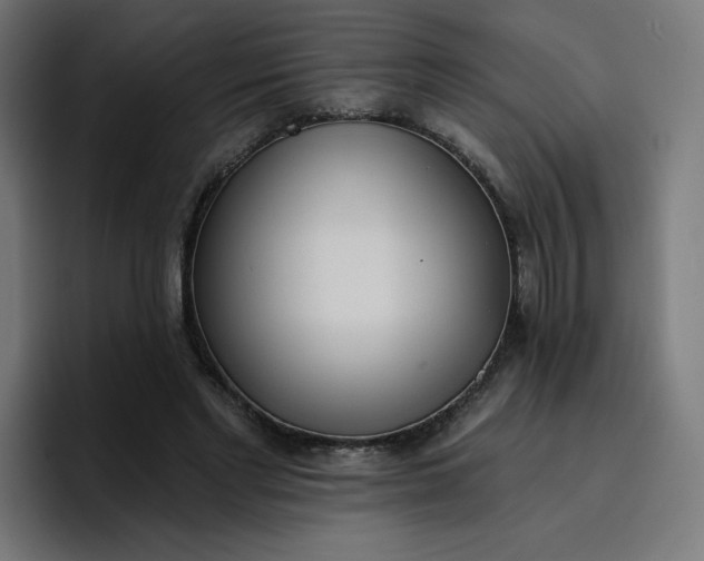 X0000096720493200802191531