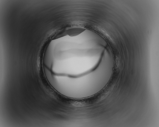 X0000096720494200802191531