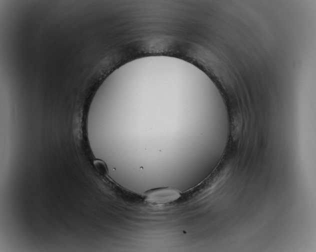 X0000096720497200802191531