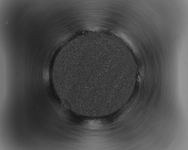 X0000096720500200802191531