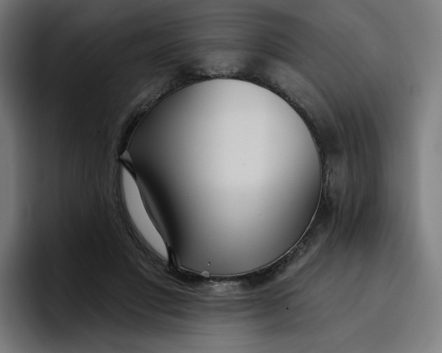 X0000096720501200802191531