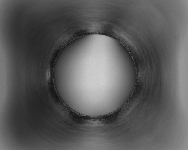 X0000096720502200802191531