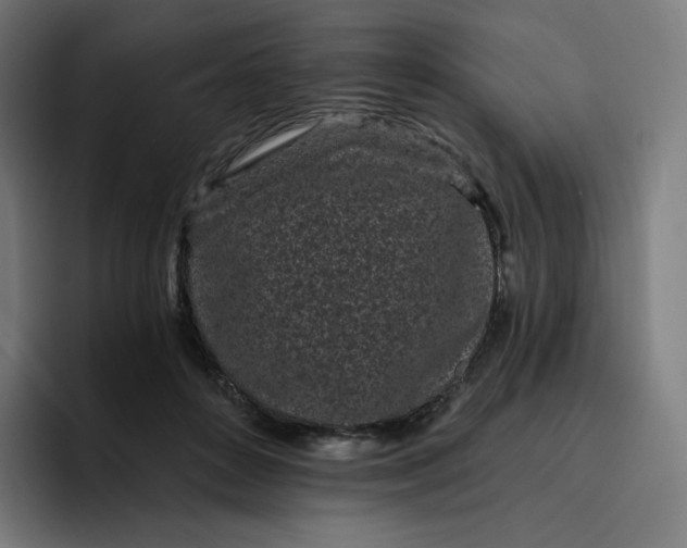 X0000096720504200802191531