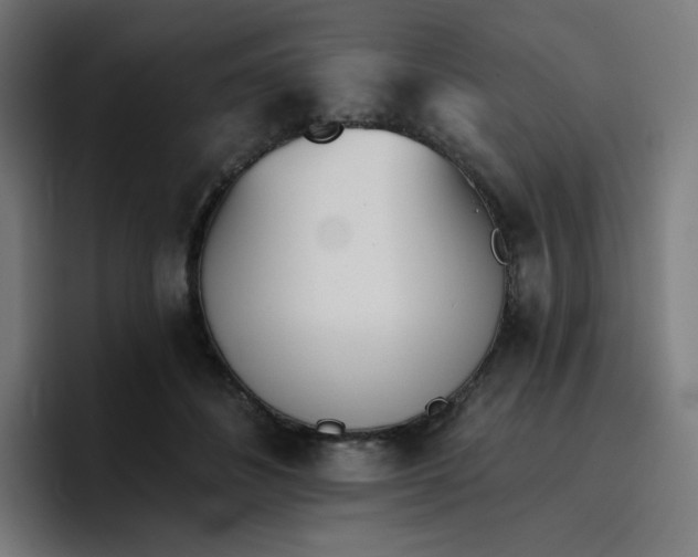 X0000096720508200802191531