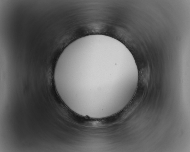 X0000096720509200802191531