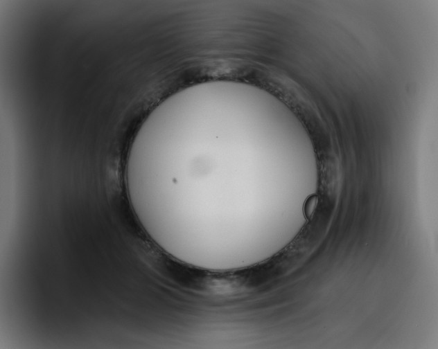 X0000096720510200802191531