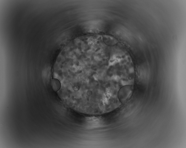 X0000096720511200802191531