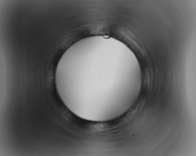 X0000096720513200802191531