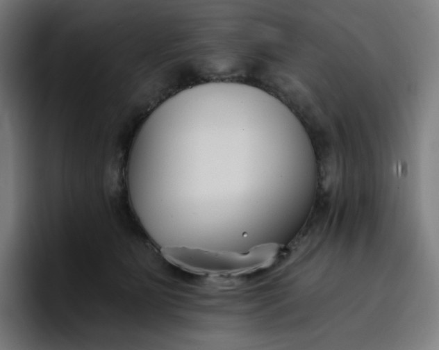 X0000096720515200802191531