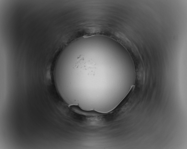 X0000096720516200802191531