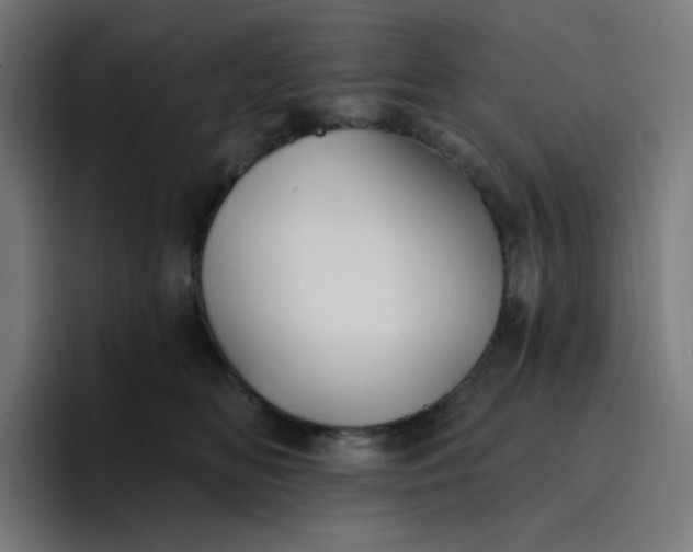 X0000096720518200802191531