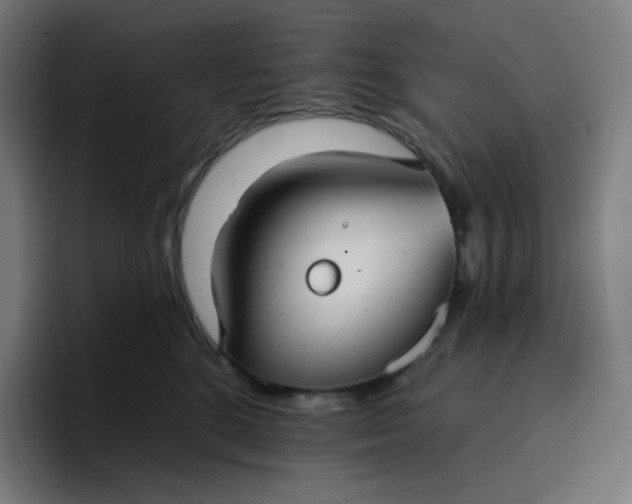 X0000096720520200802191531