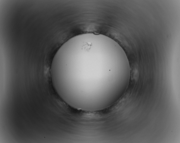 X0000096720521200802191531