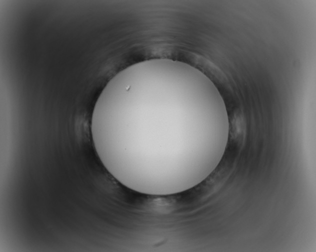 X0000096720522200802191531