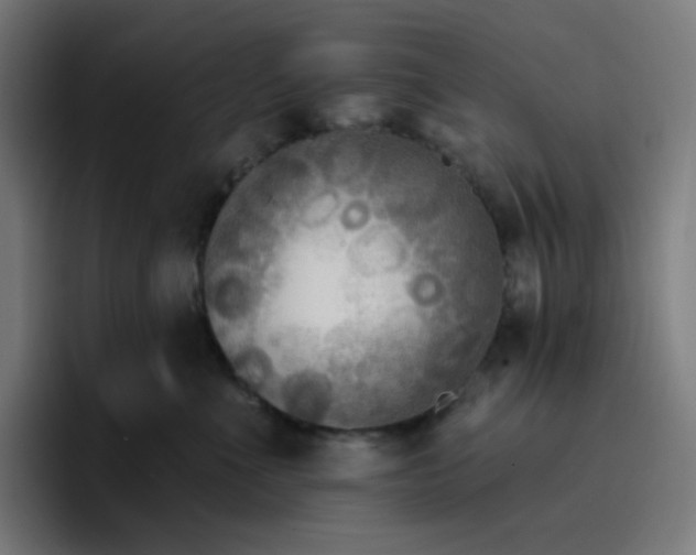 X0000096720523200802191531