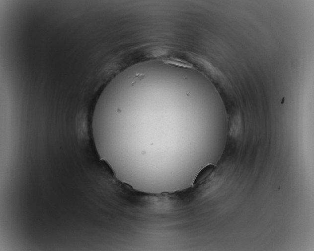 X0000096720524200802191531